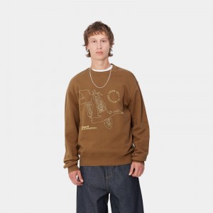 Bluza Carhartt Flying Ducks Męskie Brązowe | ZCH-159864