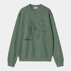 Bluza Carhartt Flying Ducks Męskie Zielone | NGP-582671