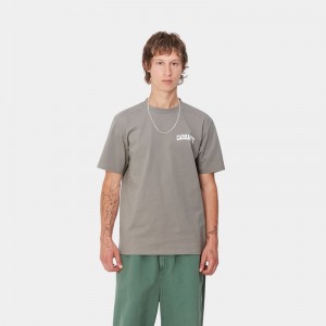 Koszulka Carhartt University Script Męskie Szare | KNZ-689537