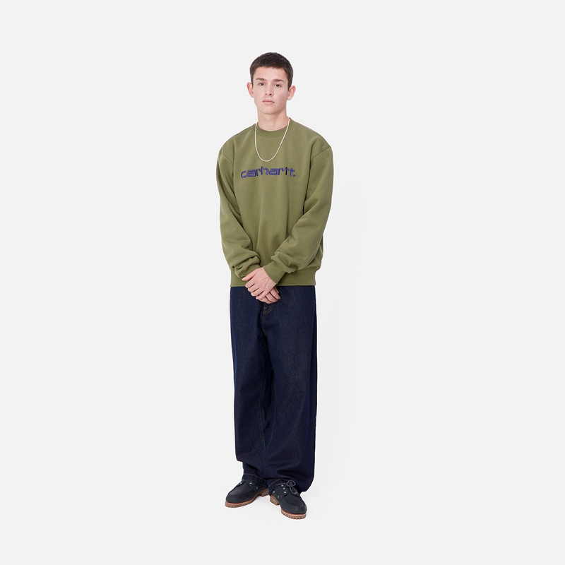 Bluza Carhartt Carhartt Męskie Zielone | BVP-465327