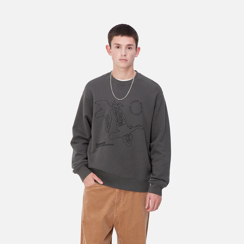 Bluza Carhartt Flying Ducks Męskie Ciemny Szare | NBW-817402