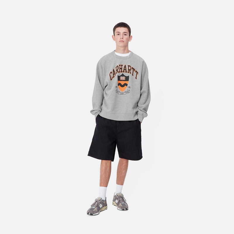 Bluza Carhartt Lazy Duck Academy Męskie Szare | HCM-042183