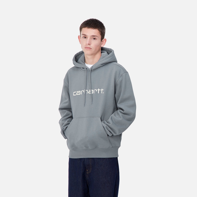 Bluza z Kapturem Carhartt Hooded Męskie Szare | BVD-461528