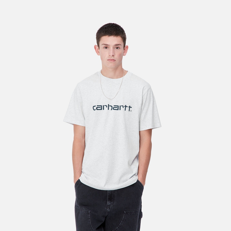 Koszulka Carhartt Script Męskie Szare | AVR-047513