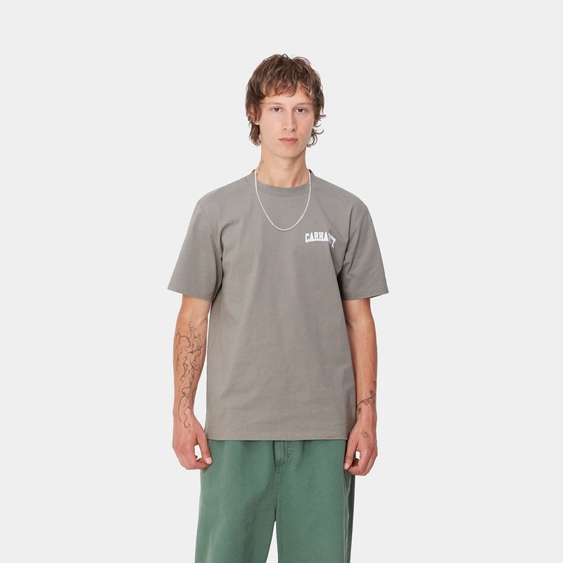 Koszulka Carhartt University Script Męskie Szare | KNZ-689537